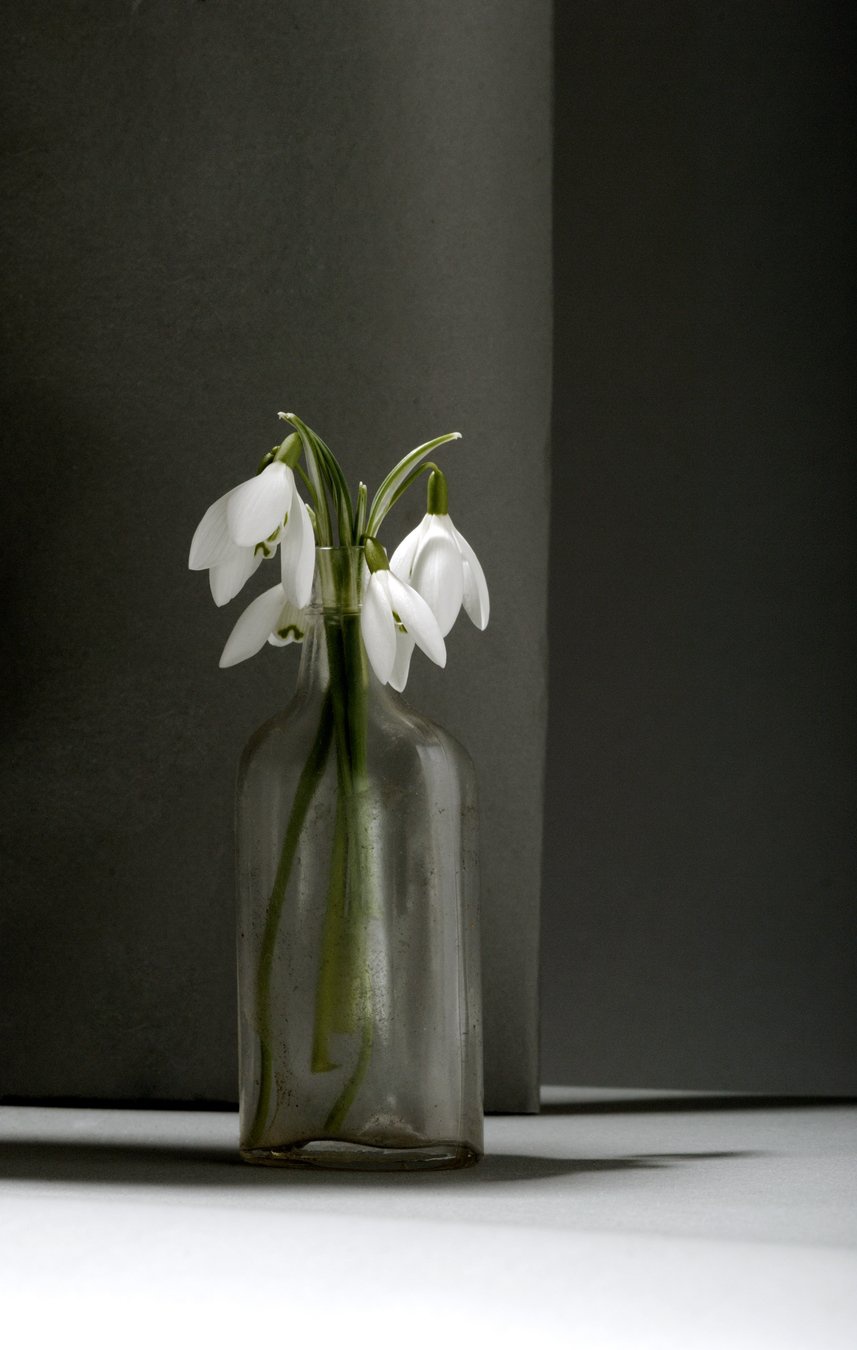 Elizabeth Vickers, Stage 3, 2011