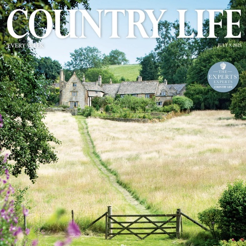 Country Life: The Experts' Experts 2025, The Best Art Dealers in Britain, Edward Bulmer and Libby Russell recommend Jenna Burlingham Gallery