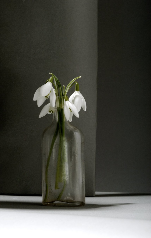 Elizabeth Vickers, Stage 3, 2011